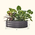 11" Tall 42" Round Modular Metal Raised Garden Bed Kit | Vego Garden