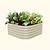 vego-garden-17-tall-4-in-1-small-modular-metal-raised-garden-bed-kit | Vego Garden
