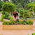 17" Tall 10 In 1 Novel Modular Metal Raised Garden Bed Kit  | Sunlight Oak| Vego Garden