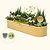 17" Tall 9 In 1 Bundle (Garden Bed+Solar Light) Sunlit Oak  | Vego Garden