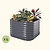 Vego Garden 26 Extra Talll 4-pack 4 In 1 Modular Metal Raised Garden Bed Kit-Modern Gray