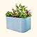 Vego Garden | 32" Extra Tall 6 In 1 Modular Metal Raised Garden Bed Kit | Sky Blue | Vego Garden