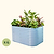 4-Pack 32" Extra Tall 6 In 1 Medium Modular Metal Raised Garden Bed Kit