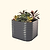 Vego Garden | 32" Extra Tall 4 In 1 Modular Metal Raised Garden Bed Kit | Modern Gray| Vego Garden