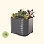 4-Pack 32" Extra Tall 4 In 1 Small Modular Metal Raised Garden Bed Kit | Modern Gray