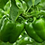 Big Bertha Bell Pepper Seedlings | Vego Garden