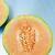 Ambrosia Cantaloupe Seedlings | Vego Garden