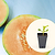 Ambrosia Cantaloupe Seedlings  | Vego Garden