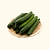 Burpless Cucumber Seedlings