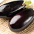 Black Beauty Eggplant Seedlings | Vego Garden