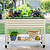 4-in-1 Mobile Elevated Garden Bed Set with Greenhouse Cover & Trellis System | Vego Garden