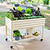 All-in-One Elevated Garden Bed Starter Kit | Vego Garden