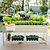 All-in-One Elevated Garden Bed Starter Kit | Vego Garden