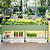 All-in-One Elevated Garden Bed Starter Kit | Vego Garden
