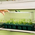 Giga 1020 Up Pot Bundle | Vego Garden