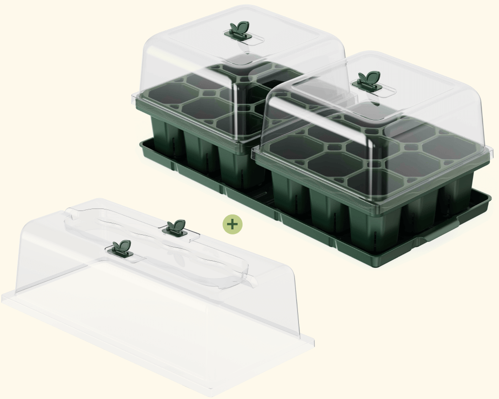 The Biggest Trays On The Market