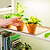 Grow Light Garden 1020 Standard Tray - 2 Pack | Vego Garden