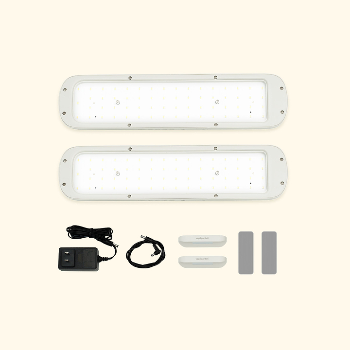 What Is a Grow Light? How It Works and Whether You Really Need One