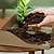 Grow Light Garden 1020 Potting Tray - 2 Pack | Vego Garden