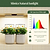 The Vego Grow Light  | Vego Garden