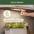 The Vego Grow Light  | Vego Garden