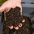 Vego Indoor Potting Mix | Vego Garden