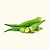 Clemson Spineless Okra Seedlings | Vego Garden