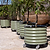 Self-watering Rolling Citrus Tree Planter