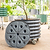 Self-watering Rolling Citrus Tree Planter