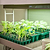All-in-One Winter/Fall Seed Starting Bundle | Vego Garden