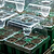 All-in-One Winter/Fall Seed Starting Bundle | Vego Garden
