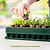 Seedling & Popper Tool