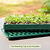 Seedling & Popper Tool