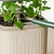 vego-garden-Self-Watering-Mini-Planter-Pot-with-Trellis