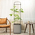 vego-garden-Self-WateringRollingTomatoPlanterPotwithTrellis