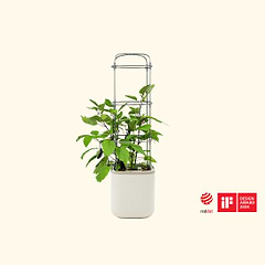 vego-garden-Self-WateringRollingTomatoPlanterPotwithTrellis