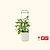 vego-garden-Self-WateringRollingTomatoPlanterPotwithTrellis