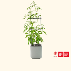vego-garden-Self-WateringRollingTomatoPlanterPotwithTrellis
