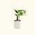 EZ Home Planter Cream White | Vego Garden