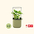 vego-garden-Self-Watering-Mini-Planter-Pot-with-Trellis