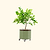 Self-Watering Rolling Citrus Tree Planter 30 Gallon - Gen 2