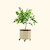 Self-Watering Rolling Citrus Tree Planter 30 Gallon - Gen 2