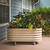 Self-Watering Rolling Garden Bed - 2&