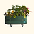 Vego Garden | Self Watering Garden Beds 2x4 British Green