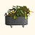 Self-Watering Rolling Garden Bed - 2&