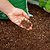 Vego Garden Bed Mix | Vego Garden