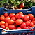 Brandywine Pink Tomato Seedlings | Vego Garden
