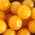 Sungold Tomato Seedlings | Vego Garden