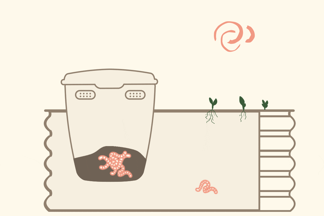 Vermicomposting