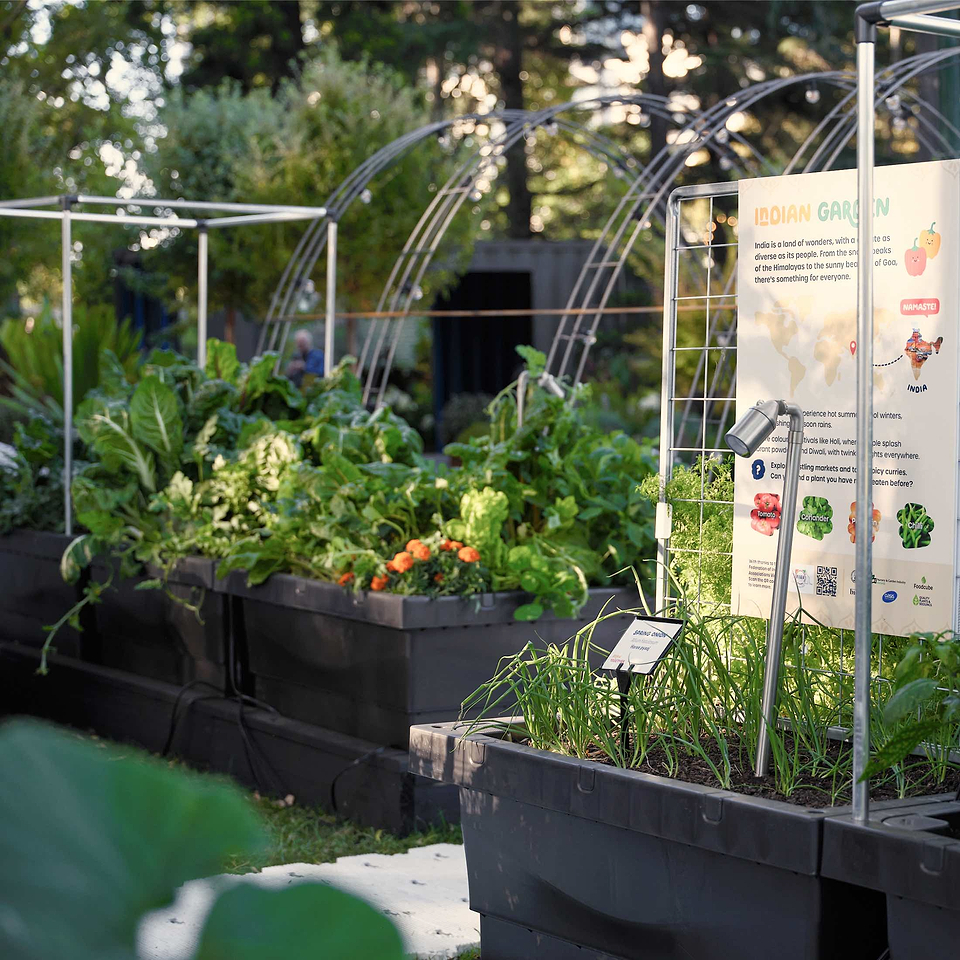 Best Raised Garden Beds for Vegetables, Fruits, Flowers | Vego Garden